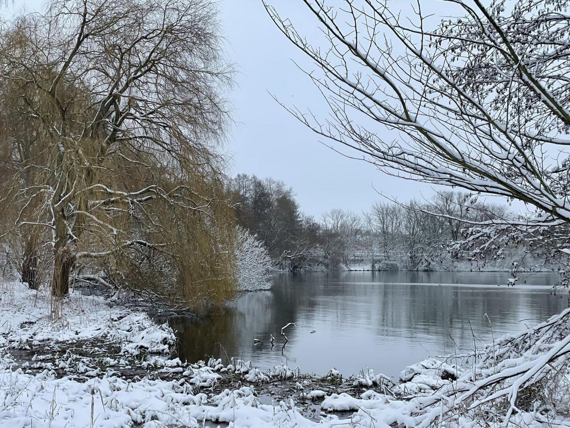 Flat In Eutin On The Kleiner Eutiner See Lake Zewnętrze zdjęcie