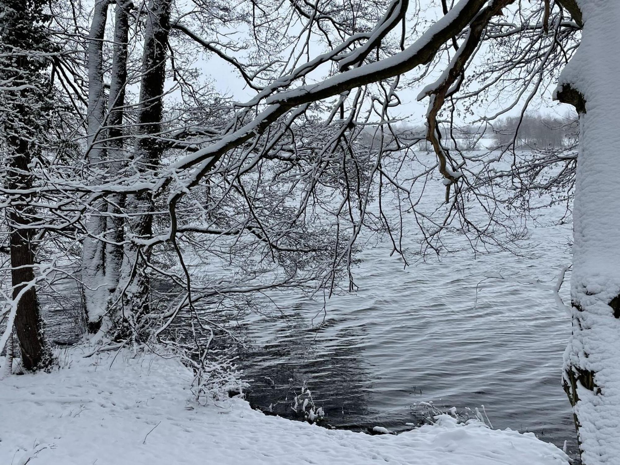 Flat In Eutin On The Kleiner Eutiner See Lake Zewnętrze zdjęcie