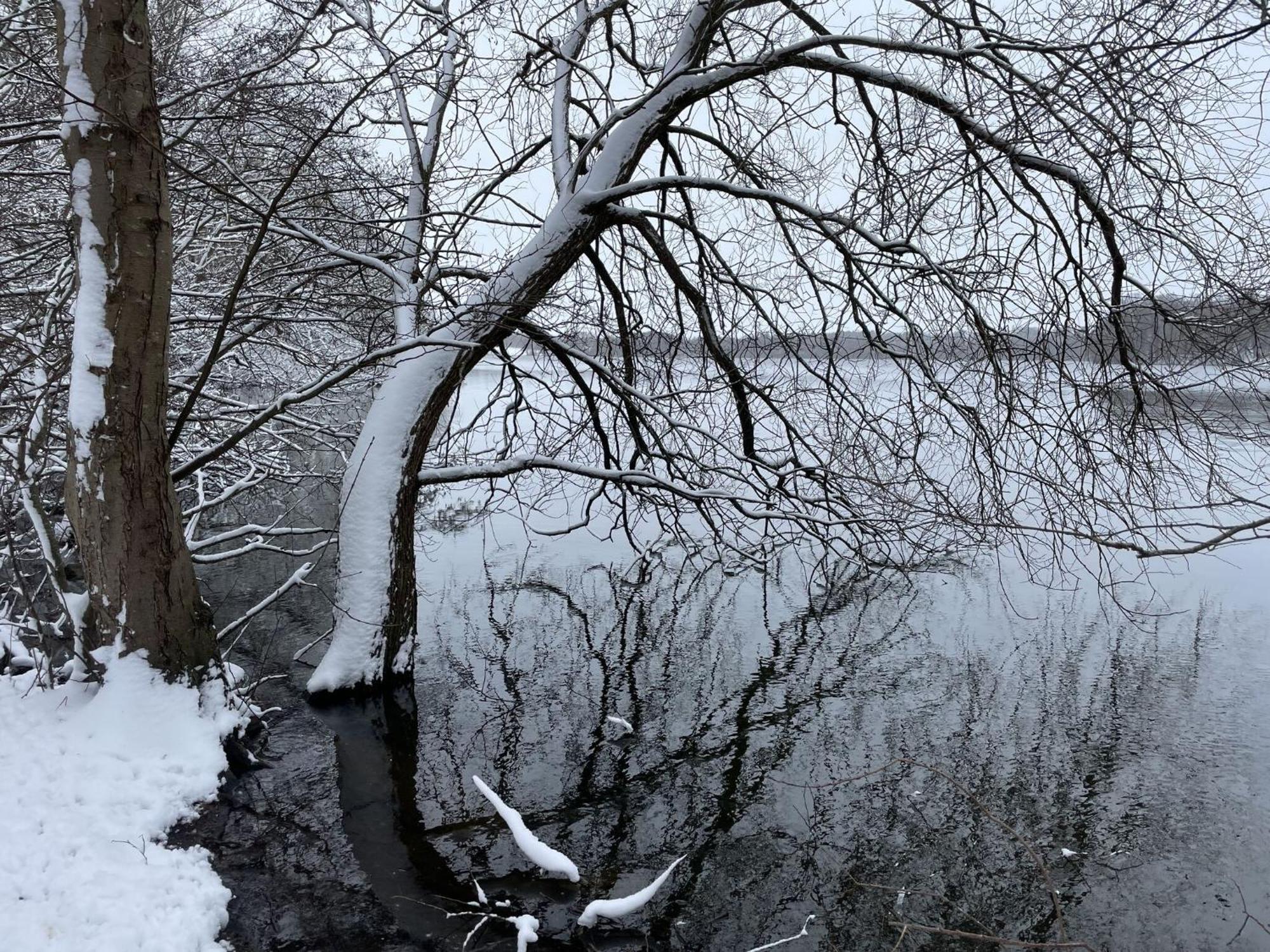 Flat In Eutin On The Kleiner Eutiner See Lake Zewnętrze zdjęcie