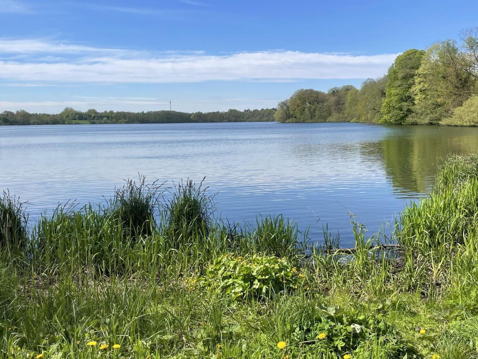 Flat In Eutin On The Kleiner Eutiner See Lake Zewnętrze zdjęcie